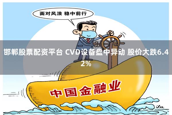 邯郸股票配资平台 CVD设备盘中异动 股价大跌6.42%