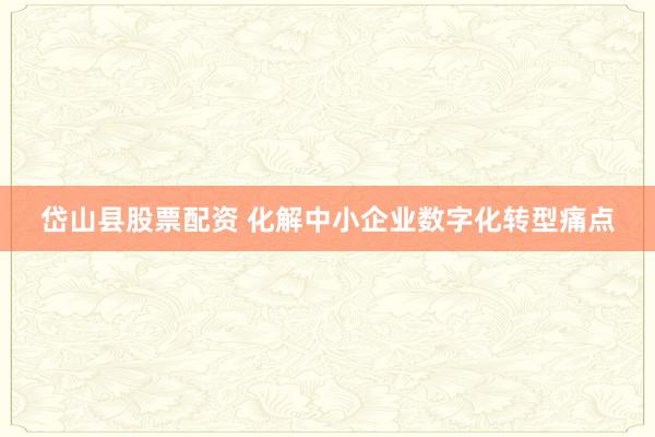 岱山县股票配资 化解中小企业数字化转型痛点